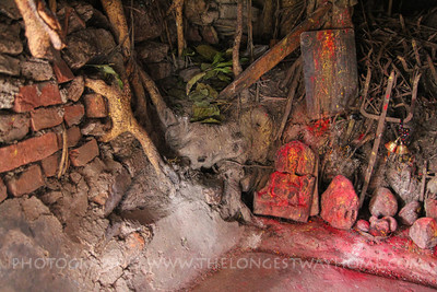 Inside the small Sindhuli Gadhi Durbar Shiva Temple