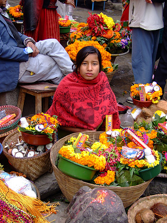 181 Shivaratri Nepal www.thelongestwayhome.com