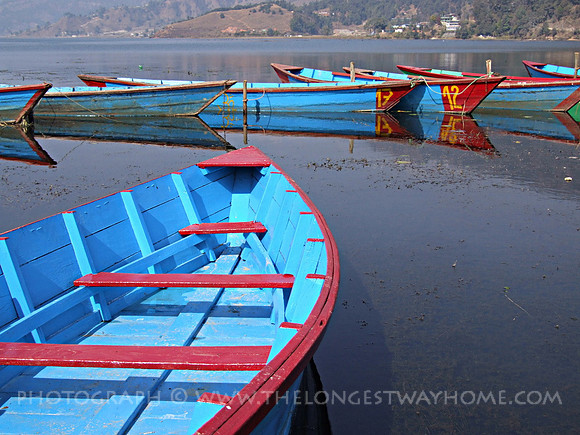 Pokhara Boats