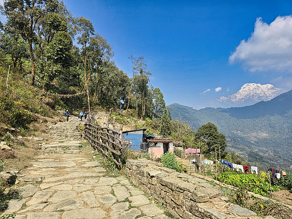 Trekking into Dhampus