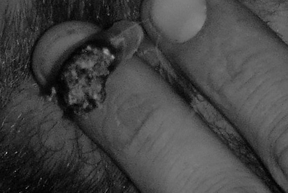 Nepal Smoking