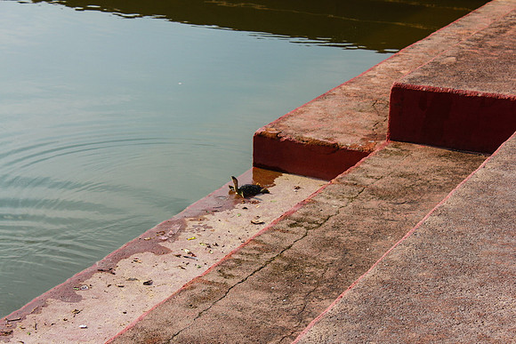 Lumbini, Nepal 47_resize