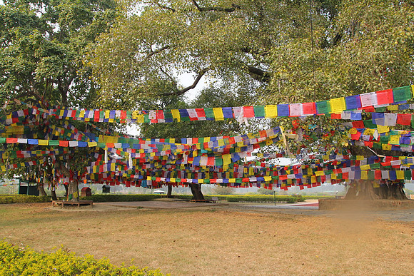 Lumbini 170_resize