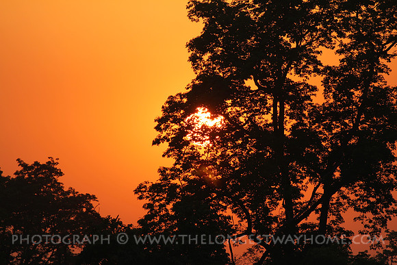 Bardia National Park Nepal Sunset