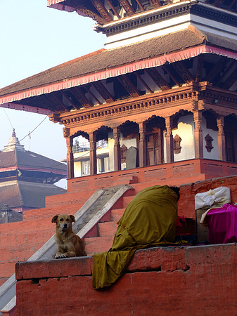 233 Kathmandu Nepal www.thelongestwayhome.com