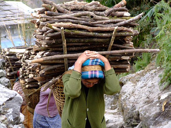 Nepali Ladies carrying wood on the Annapurna Circuit