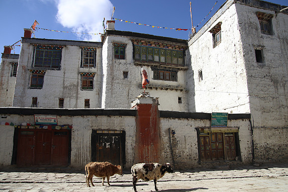 Lo Manthang 7