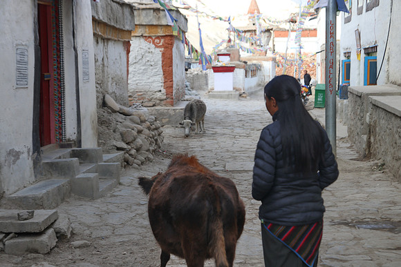 Lo Manthang - Upper Mustang 5