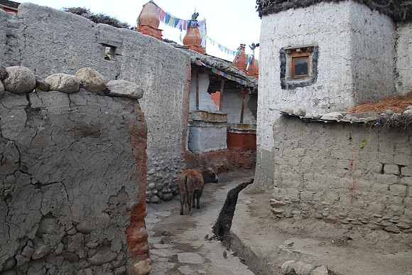 Lo Manthang - Upper Mustang 18