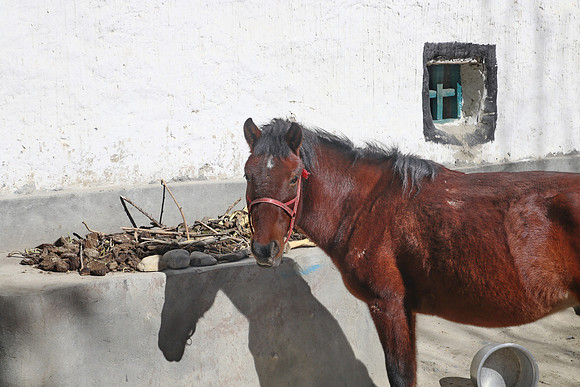Lo Manthang to Dhee - Upper Mustang trek 19