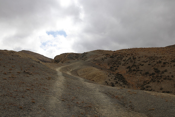 Dye to Tange 6
