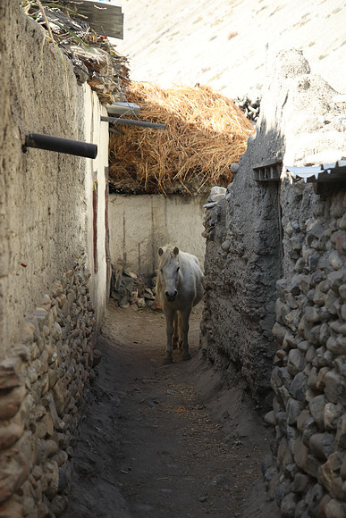 Tange Village Upper Mustang 20