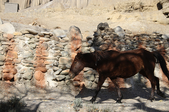 Tange Village Upper Mustang 27