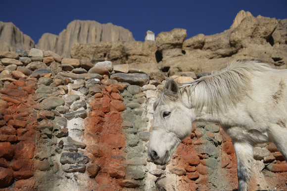 Tange Village Upper Mustang 28