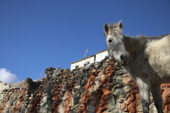 Tange Village Upper Mustang 29