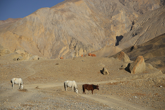 Tange Village Upper Mustang 31