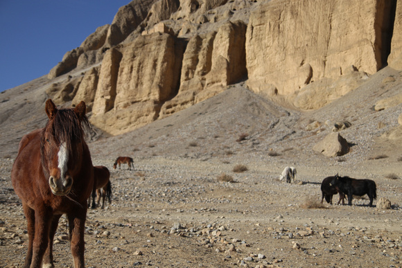 Tange Village Upper Mustang 33