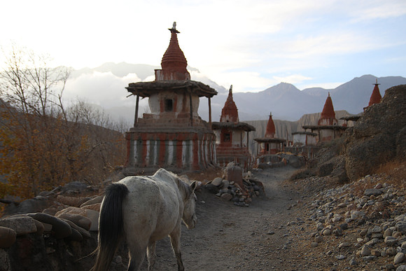 Tange Village Upper Mustang 46