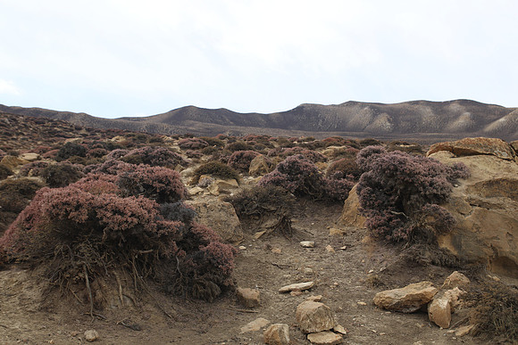 Tange to Chhuksang - Upper Mustang Trek 9
