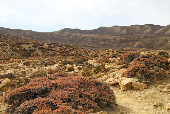 Tange to Chhuksang - Upper Mustang Trek 11