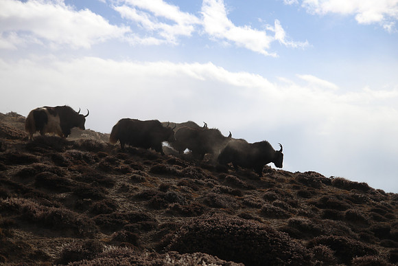 Tange to Chhuksang - Upper Mustang Trek 39