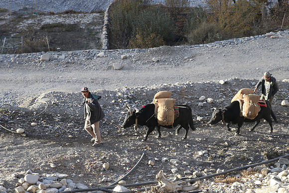 Tange to Chhuksang - Upper Mustang Trek 50