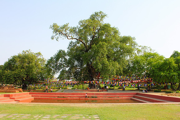 Lumbini, Nepal 24_resize