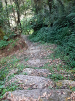 Day 2 Shivalaya to Bhandar (13).jpg-2021-12-14 8.12.20