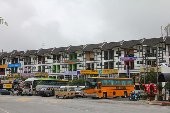 Cameron Highlands, Malaysia Tea Plantation 1