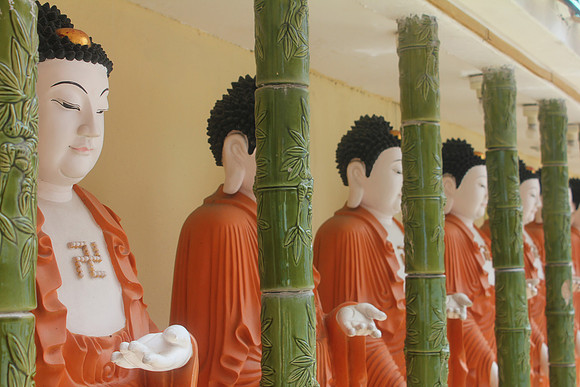 Penang 2011 16