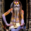 A Sadhu holy man at Shivaratri - Nepal