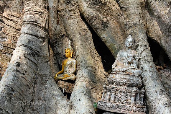 Wat Sri Savaya, Sukothai, Thailand 20_resize